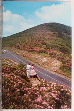 Virginia skyline drive for sale  Wilmington