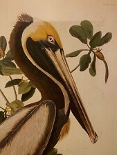 Rare audubon lithograph for sale  Renton