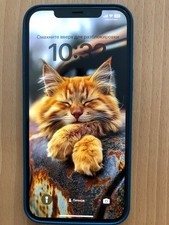 Iphon pro max gebraucht kaufen  Bremerhaven