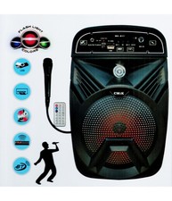 Cassa amplificata karaoke usato  Napoli