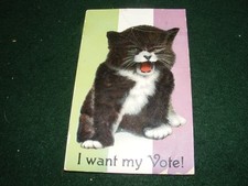 Vintage postcard votes for sale  LIFTON