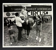 1984 hoxie great for sale  Chattanooga