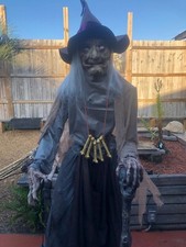 Atanimated crone witch for sale  Panama City