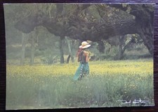 Carte postale david d'occasion  Yvetot