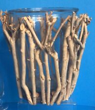 Elegant gold twig d'occasion  Expédié en Belgium