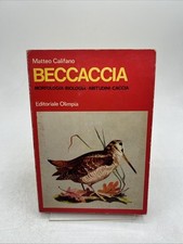Beccaccia matteo califano usato  Italia
