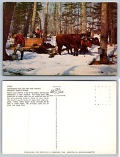 Cartolina sciroppo acero usato  Spedire a Italy