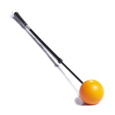 Orange whip trainer for sale  Rosedale