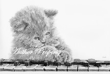 Kitten playing piano usato  Italia