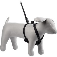 Dog stop pull for sale  DAVENTRY