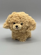 Aurora goldendoodle puppy for sale  Pittsburgh