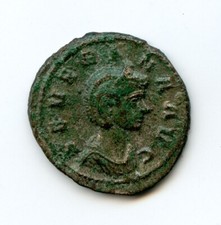 275 severina roma d'occasion  Sens