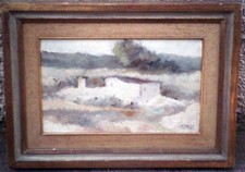 Enzo cangi campagna usato  Italia