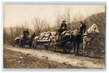 1909 horses team for sale  Terre Haute