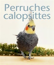Perruche calopsitte hieldegard d'occasion  France