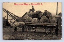 Giant cabbage howard for sale  USA