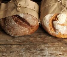 1kg fertigsauerteig sauerteig gebraucht kaufen  Bad Windsheim