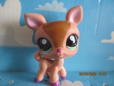 Petshop biche 1677 d'occasion  Bailleul