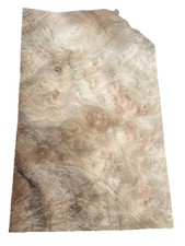 Magnolia burr natural for sale  NOTTINGHAM