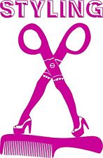 Hair styling beauty for sale  Chatsworth
