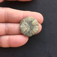 Pyrite sun miners for sale  Anna