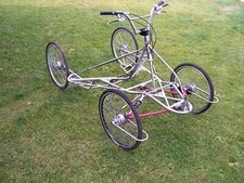 Quadriga cudos husky for sale  LINCOLN