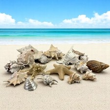 Job lot exotic for sale  EASTBOURNE
