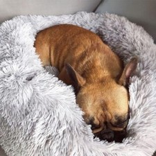 Flauschiges wolke hundebett gebraucht kaufen  Hoppstädten-Weiersbach