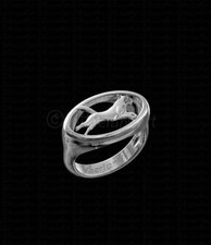 Anello belga malinois usato  Spedire a Italy