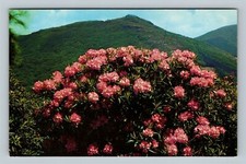 Blue ridge parkway for sale  Springfield