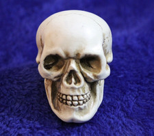 Skull gear shift for sale  Fairfield