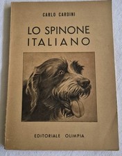Carlo cardini spinone usato  Collecchio
