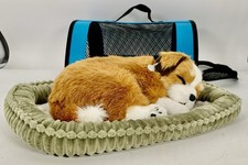 Perfect petzzz dog for sale  Hixson