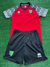 Norwich city red for sale  BIGGLESWADE