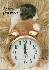 Chat chat réveil d'occasion  Pontailler-sur-Saône