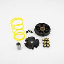 10260260 variatore pinasco usato  Pagani