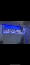 Süßwasser aquarium komplett gebraucht kaufen  Wehr