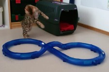 Katzenspiel katzenbahn anione gebraucht kaufen  Pforzheim