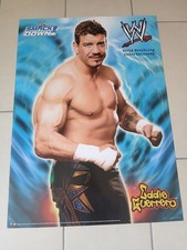 Poster vintage 2005 usato  Ravenna