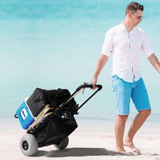 Vevor carretto spiaggia usato  Lonate Pozzolo