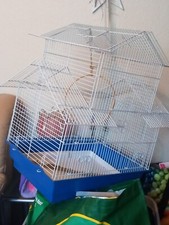 Kanarienvoegel voliere kaefig gebraucht kaufen  Bederkesa