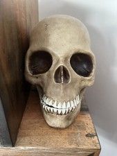 Large life size for sale  SUTTON-IN-ASHFIELD