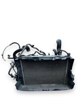 Kit radiatore completo usato  Sicignano Degli Alburni