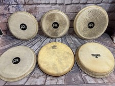 Bongo heads lot for sale  USA