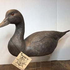 Phase concept duck for sale  Martinsville