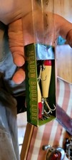 Paw paw fishing for sale  Hinsdale