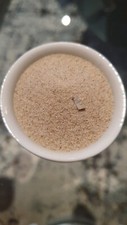 Sand dreebargen strand gebraucht kaufen  Detmold
