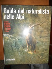 Aa.vv. guida del usato  Roma