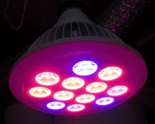wachstumslampe gebraucht kaufen  Deutschland