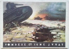 suole cingolati usato  Roma